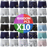 10pcs-Random Series