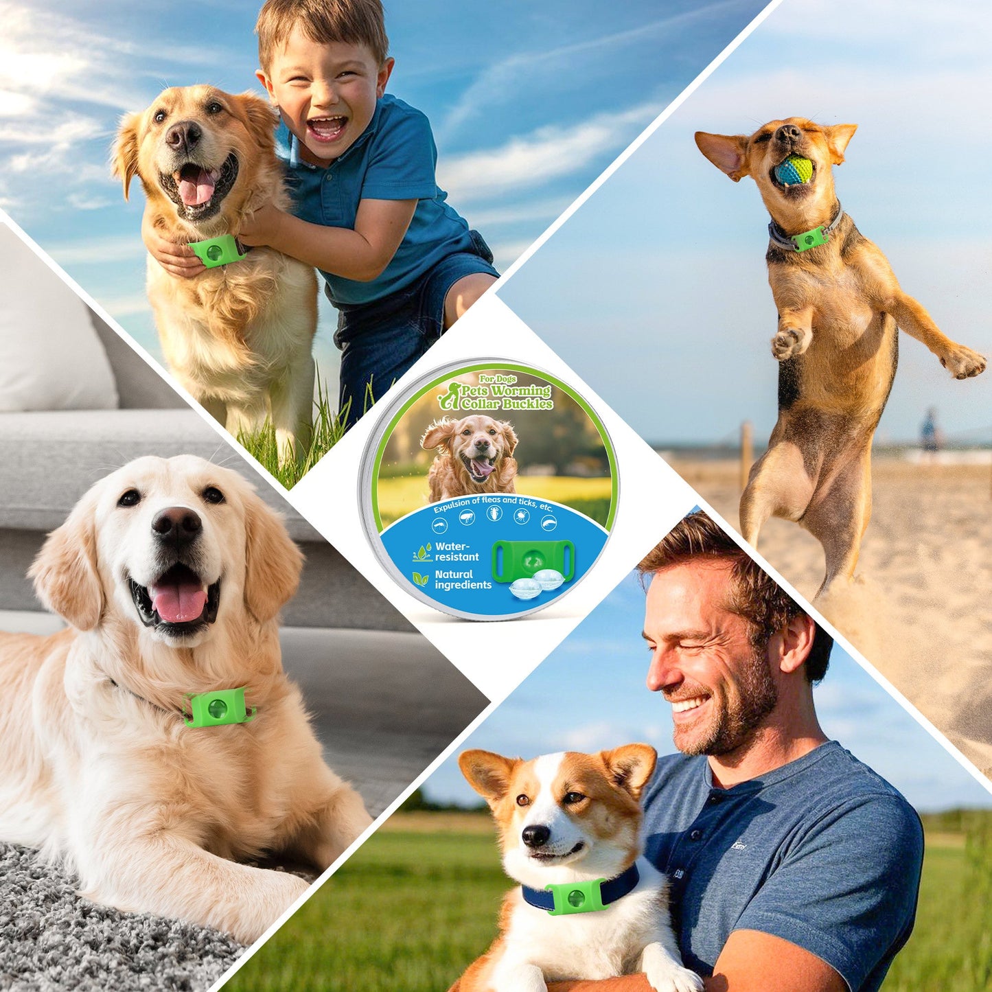 Flea & Tick Repellent Tag for Dogs - Natural Peppermint Essential Oil Capsules, 24/7 Chemical-Free Protection for Indoor & Outdoor Use, Pet-Safe Collar Tag with Refills