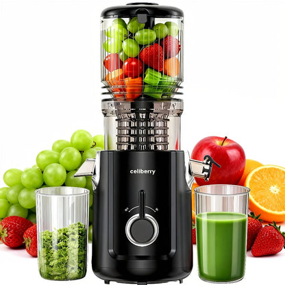 Masticating Juicer Cold Press - 4.25" Wide Feed Chute Auto-Feed Slow Juicer for Whole Fruits & Vegetables, 98% Juice Extraction, Quiet Motor, Easy to Clean, Compact for 1-2 People, Multiple Colors
