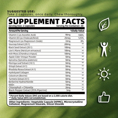 Soursop Graviola Capsules 24-in-1 Formula 60 Count – Lab Tested Gut Health Digestion Antioxidant Immune Support Daily Wellness Supplement for Men & Women