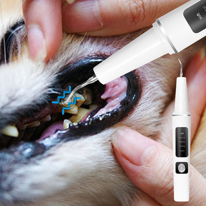 Electric Pet Dental Cleaning Kit – USB Rechargeable Cat & Dog Teeth Cleaner, 4 Cleaning Heads & 5 Modes, Removes Stains & Tartar for Cats and Dogs