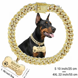 Golden collar + custom pet tag