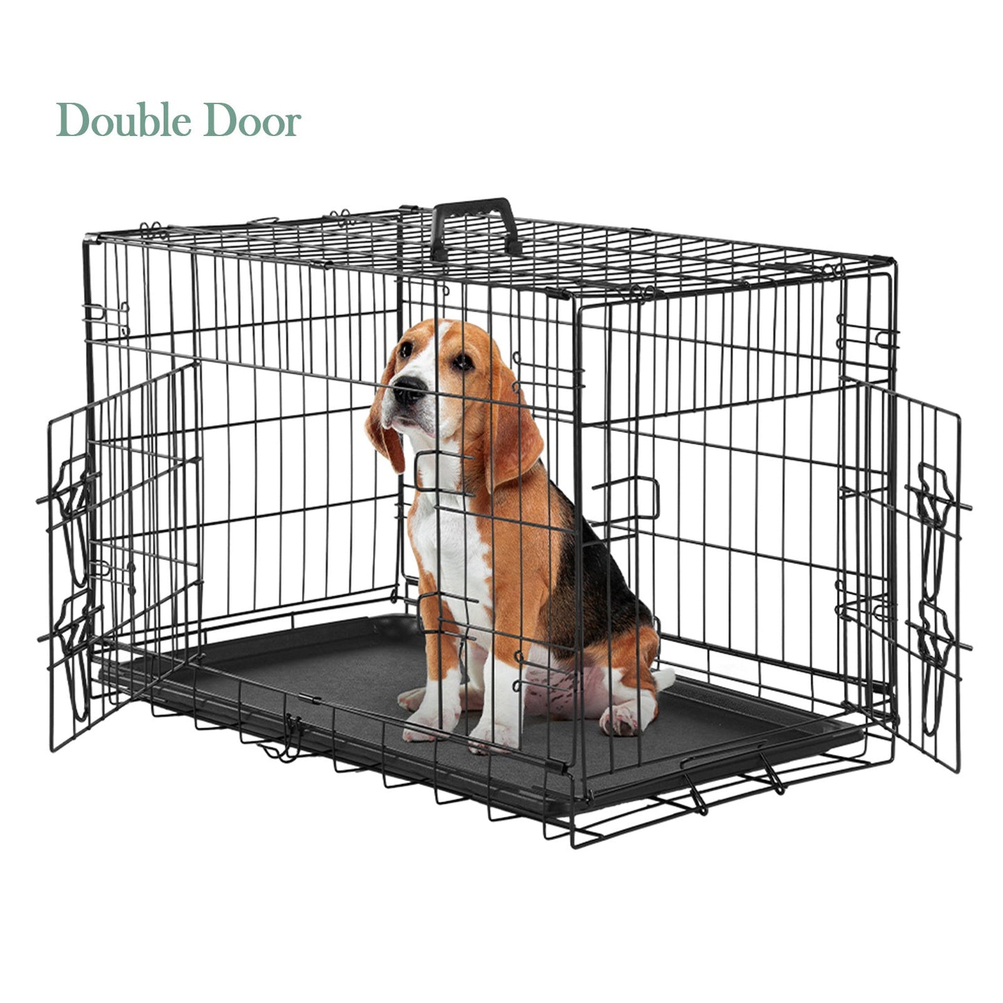 Folding Wire Dog Crate with Divider - Single & Double Door Options, Leak-Proof Plastic Tray, Indoor Outdoor Travel Kennel for Small Medium Large Dogs, 24" / 30" / 36" Sizes