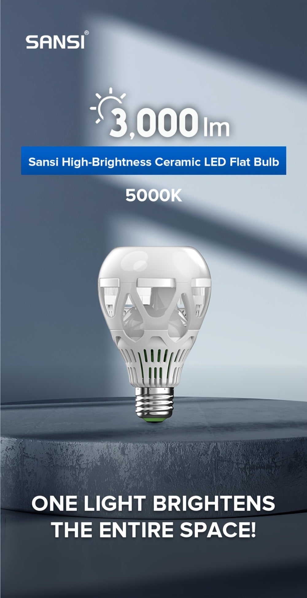 A21 LED Light Bulb 22W 3000 Lumens 200W Equivalent High Brightness Non-Dimmable – E26 Base 3000K Warm White & 5000K Daylight for Home Office Garage Workshop Indoor Lighting, 4-Pack