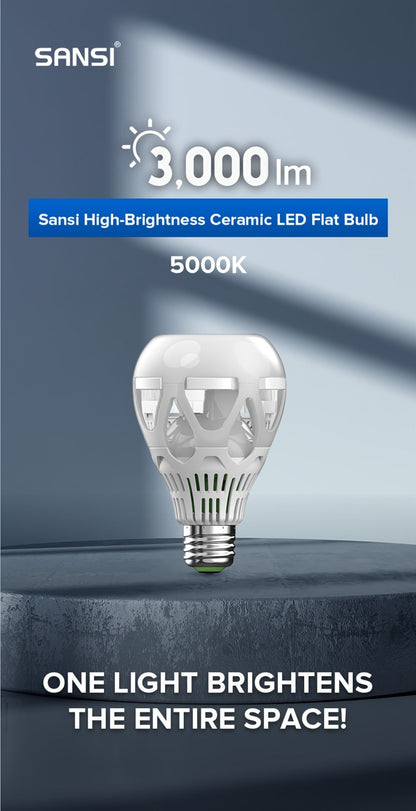 A21 LED Light Bulb 22W 3000 Lumens 200W Equivalent High Brightness Non-Dimmable – E26 Base 3000K Warm White & 5000K Daylight for Home Office Garage Workshop Indoor Lighting, 4-Pack