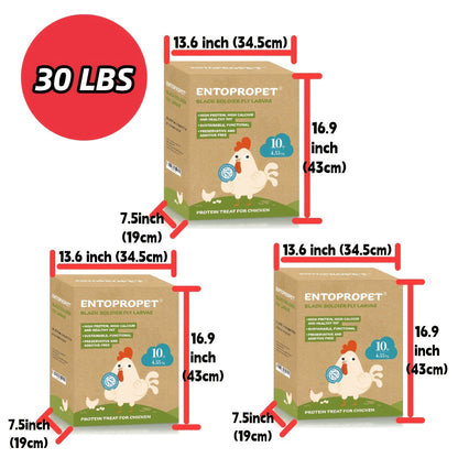 Dried Black Soldier Fly Larvae 30LB - High Protein Chicken Feed Supplement, Natural Poultry Treat for Chickens, Ducks, Turkeys & Backyard Birds