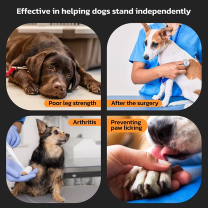 Dog Paw Pads Anti-Slip Sticker Protector 12 Sets 48pcs – Traction Grip Paw Stickers for Senior Dogs on Hardwood Floors, Cuttable Hook & Loop Adhesive Paw Grips, Sizes L to 3XL