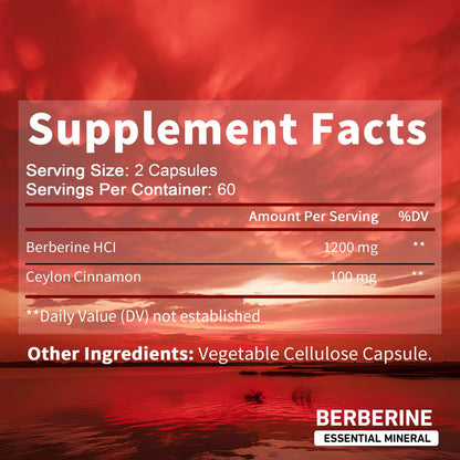 Berberine + Ceylon Cinnamon Supplement 120 Capsules – Support Healthy Cholesterol, Blood Sugar & Heart Health | Berberine HCl Dietary Supplement for Women & Men