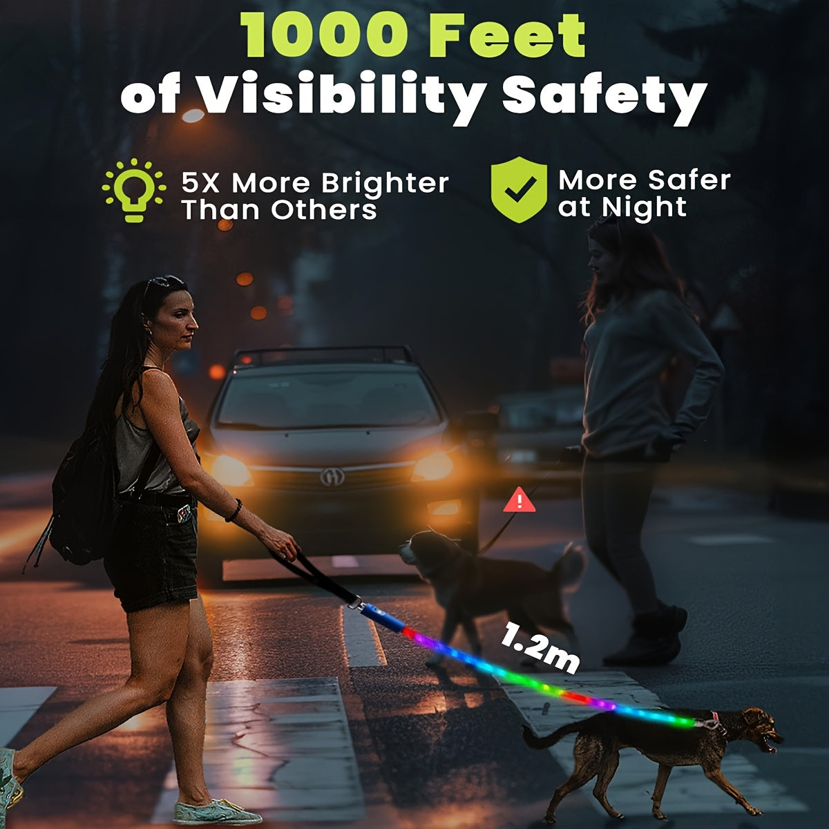 LED Dog Leash 4FT Light Up with 13 Lighting Modes & Tangle-Free Hook, Rechargeable Glow in the Dark Night Walking Leash for Small Medium Large Dogs, USB Rechargeable Pet Safety Leash