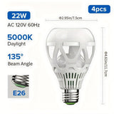 5000K Daylight White
