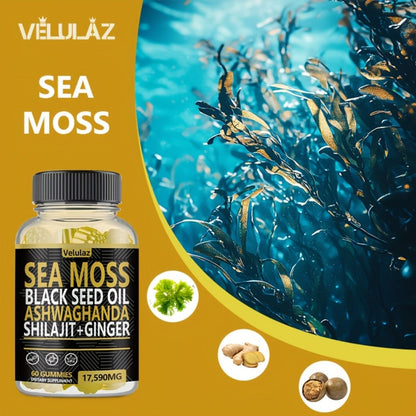 Sea Moss Gummies 10-in-1 Superfood Blend 60 Count 17590mg - Black Seed Oil Ashwagandha Shilajit Elderberry Turmeric Bladderwrack Ginger Chlorophyll Daily Immune Energy Wellness Supplement