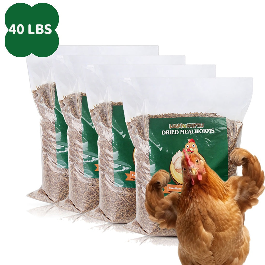 Dried Mealworms High Protein Animal Feed – Natural Insect Treats for Chickens Wild Birds Hens Ducks Turtles Fish Lizards Hamsters, Non-GMO Dried Larvae Pet Food Supplement, 0.6LB to 44LB