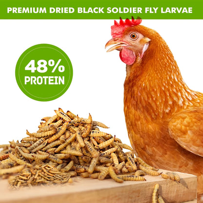 Dried Black Soldier Fly Larvae Chicken Treats – Non-GMO High Protein Dried Grubs for Chickens, Ducks, Turkeys & Reptiles, Rich in Calcium & Lauric Acid, Natural Feed Additive (10 / 20 / 30 LBS)