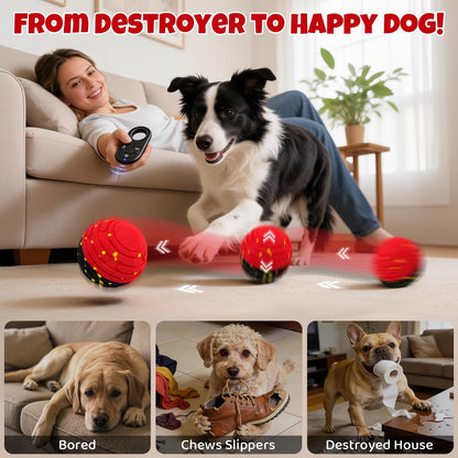 Remote-Controlled Interactive Dog Toy Ball – Self-Rolling Bouncing Ball for Small, Medium & Large Dogs | Indoor & Outdoor Use