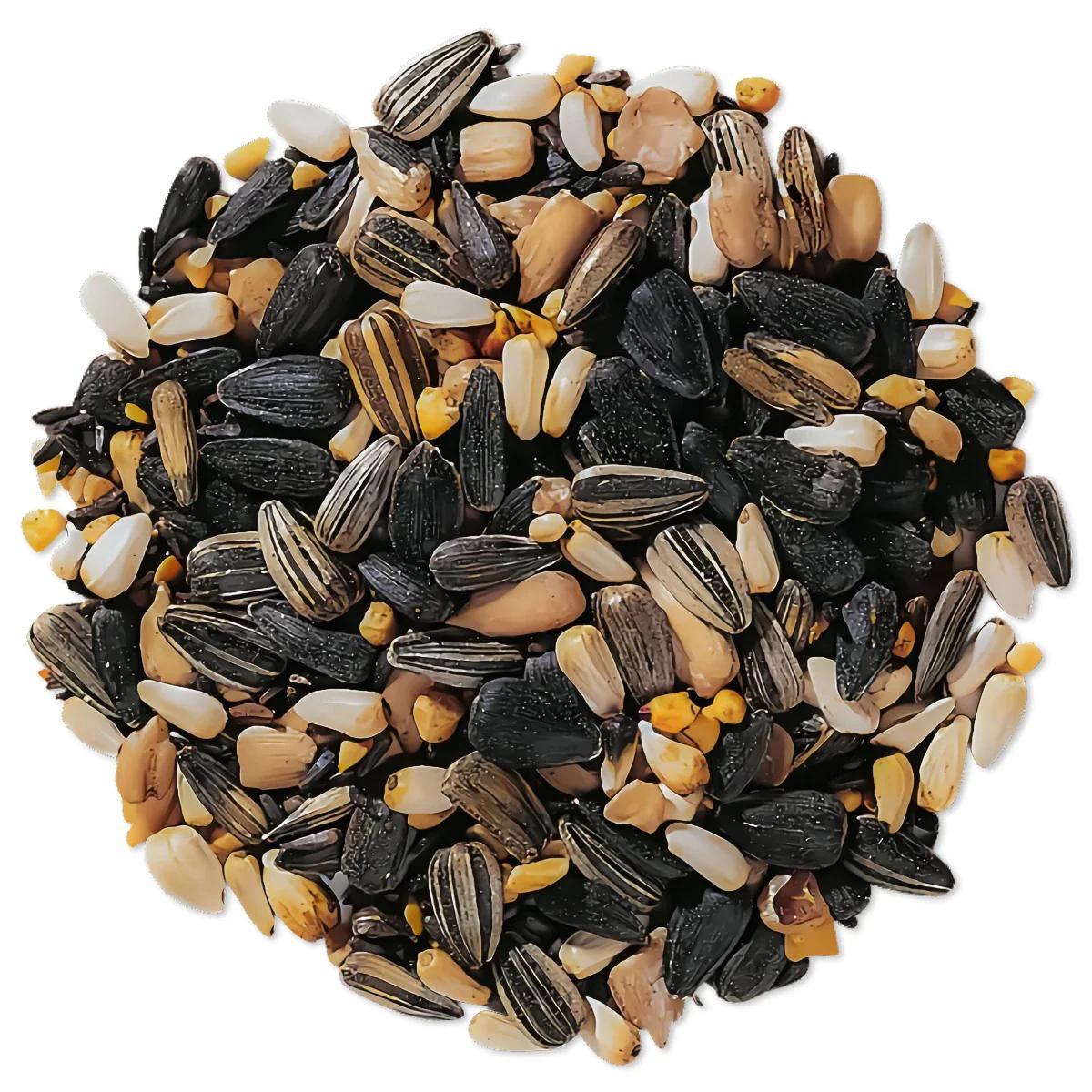 Wild Bird Seed 1 lb Premium No-Filler Mix – Attracts Songbirds, Works in Hanging Feeders, Lawn Stands & Ground Feeders, Year-Round Outdoor Bird Feeding, Porch & Garden Friendly