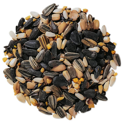 Wild Bird Seed 1 lb Premium No-Filler Mix – Attracts Songbirds, Works in Hanging Feeders, Lawn Stands & Ground Feeders, Year-Round Outdoor Bird Feeding, Porch & Garden Friendly