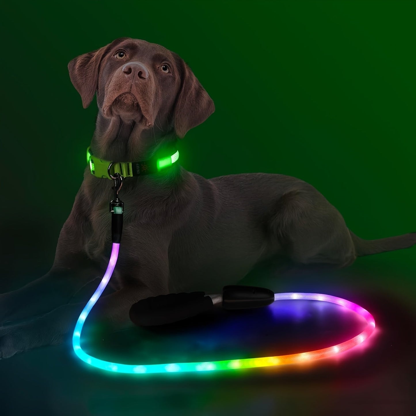 LED Dog Leash Light Up 4FT Rechargeable with 7 Lighting Modes, Glow in the Dark Reflective Double-Sided Lighted Dog Leash, Padded Handle for Night Walking Safety, Small to Large Dogs, White