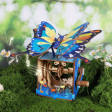 Colour Butterfly