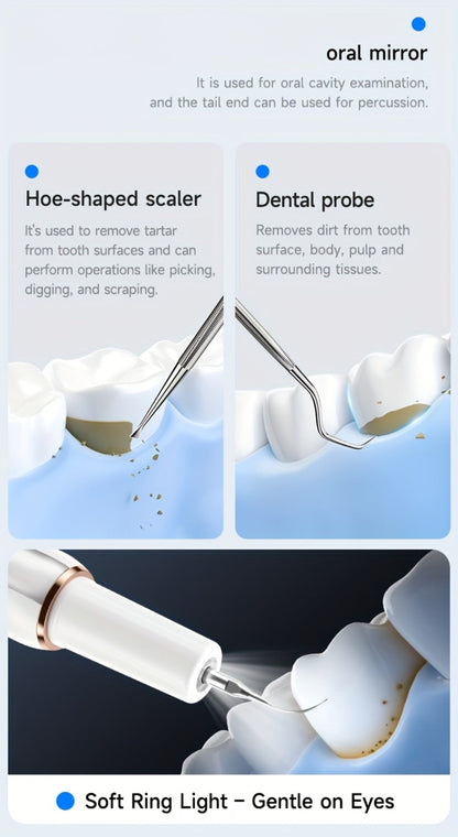 Interdental Plaque Remover with LED Light – Electric Teeth Cleaner, 5 Cleaning Modes, 2 Replacement Heads, Oral Irrigator-Like Function, No Water Required, Dental Care for Travel & Home Use
