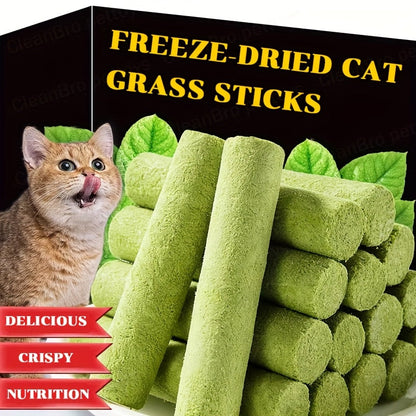 Cat Grass Freeze-Dried Sticks – Natural Dental Chew Snacks for Cats, Hairball Removal & Teeth Cleaning, Consumable Cat Grass Chew Toy (15 or 30 pcs)