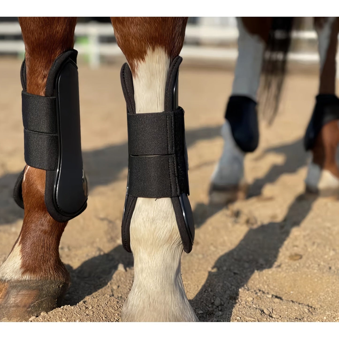 Horse Boots Set of 4 – Open Front Tendon & Fetlock Leg Protection Boots, PU Neoprene Splint Boots for Training, Racing, Riding & Jumping, Full, COB & Pony Sizes, 10 Colors