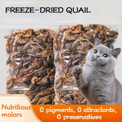 Air-Dried Whole Quail Cat Treats 70g - High Protein Natural Raw Diet Snack, Ready to Serve, No Cooking Required, Cleaned & Prepared for Cats & Kittens