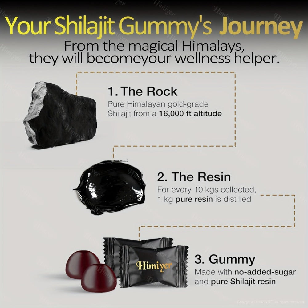 Shilajit Supplement 3000mg with Ginger, Ginseng & Ashwagandha — Pure Fulvic Acid & Multi-Mineral Phytonutrient Formula for Energy, Vitality, Strength & Whole-Body Wellness | 1-3 Bottle Options