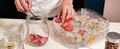 Food Dehydrator 240W with Temperature Control | BPA-Free Dishwasher-Safe Trays, Electric Food Dryer for Jerky, Fruits, Herbs & Vegetables, Recipe Book Included – 5-Tray & 8-Tray Options