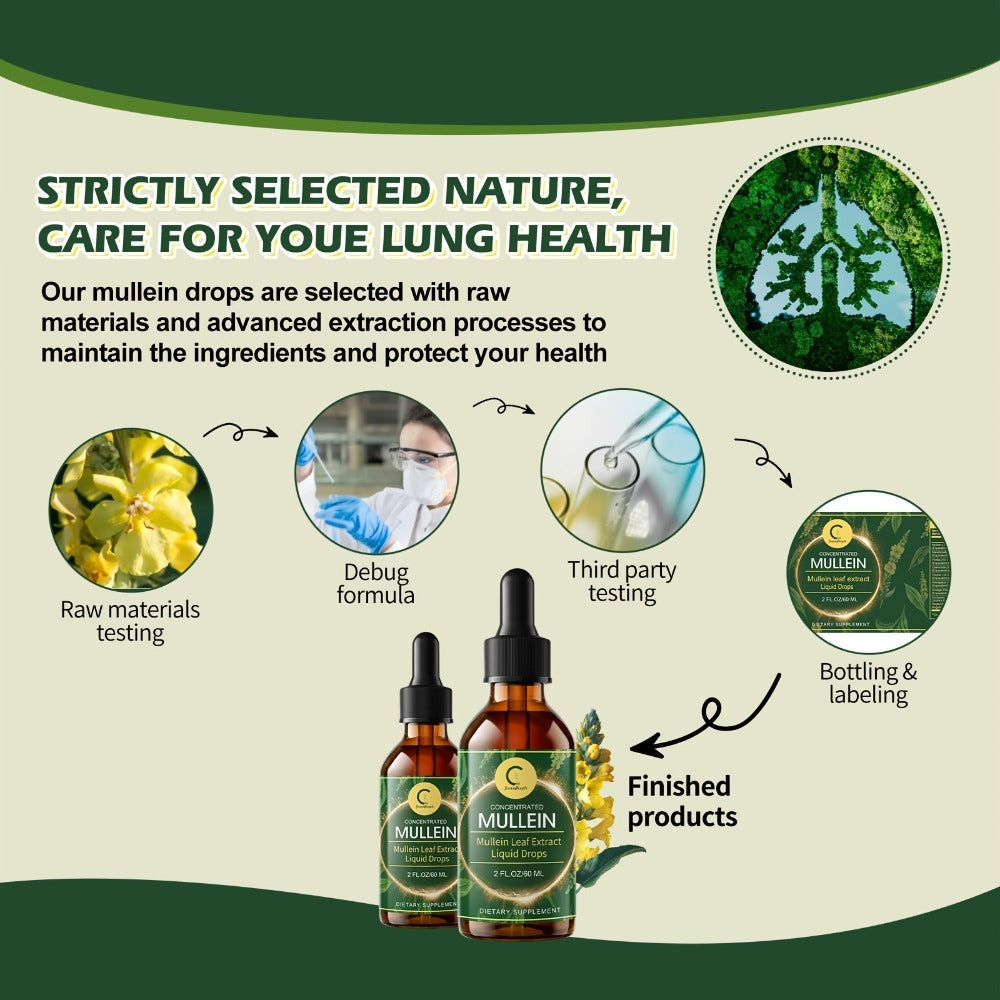 Mullein Leaf Liquid Tincture for Lung & Respiratory Health — Fast-Absorbing Herbal Drops for Breathing Support, Immune Defense & Digestive Wellness | Natural Extract | 2 fl oz
