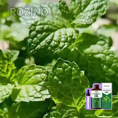 Peppermint Essential Oil 100% Pure Plant-Derived 100ml — Multipurpose Cooling Oil for Massage, Aromatherapy, Scalp & Hair Care, Skin, Nails, Face & Body, Diffuser & Shower Use