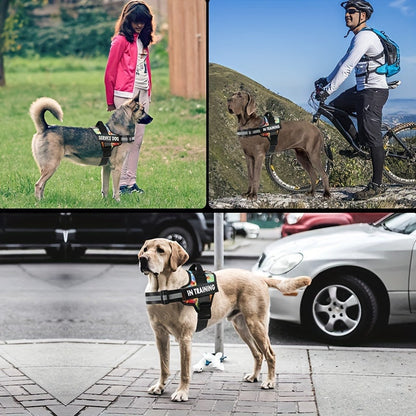 Emotional Support Dog Harness No-Pull Reflective Vest with Handle – Adjustable No-Choke ESA Pet Harness for Easy Walking & Training, XS to XXL, 11 Colors