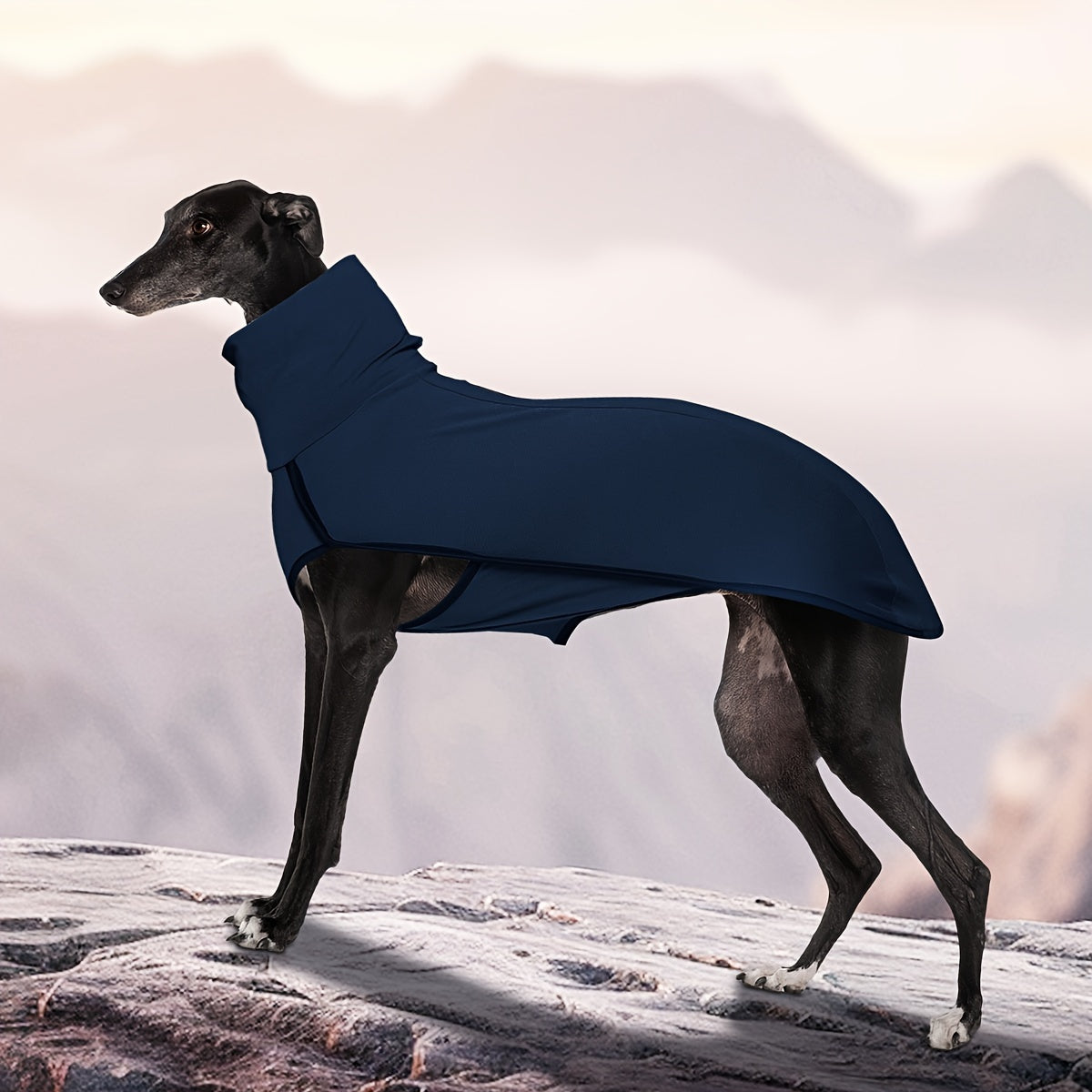 High Neck Dog Coat Warm Pullover – Solid Color Woven Polyester Pet Jacket, Machine Washable, All-Season Fall & Winter Dog Apparel for Small Medium Large Breeds, Colors: Burgundy, Navy, Green, Sizes XL–4XL