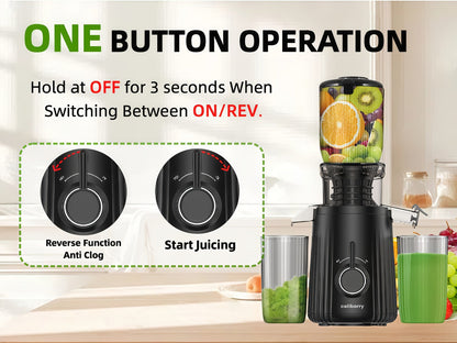 Masticating Juicer Cold Press - 4.25" Wide Feed Chute Auto-Feed Slow Juicer for Whole Fruits & Vegetables, 98% Juice Extraction, Quiet Motor, Easy to Clean, Compact for 1-2 People, Multiple Colors