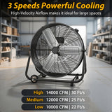 30" Black Fan