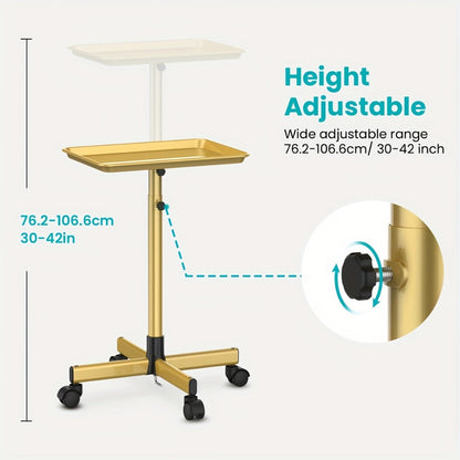 Salon Rolling Tray Cart with Wheels & Adjustable Height 30"-42" - Professional Trolley with Removable 18"x13" Tray, 360° Swivel Casters for Hair Stylist Tattoo Esthetician, Gold & Black