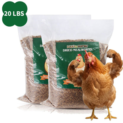 Dried Mealworms High Protein Animal Feed – Natural Insect Treats for Chickens Wild Birds Hens Ducks Turtles Fish Lizards Hamsters, Non-GMO Dried Larvae Pet Food Supplement, 0.6LB to 44LB