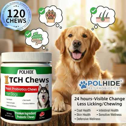 Dog Probiotic Chews 120 Count Heart-Shaped Soft Chews with Yeast & Meat Flavor | Supports Gut Health Coat & Immunity | All Breeds All Ages | 120-Day Supply Pet Digestive Supplement Daily Wellness Chew