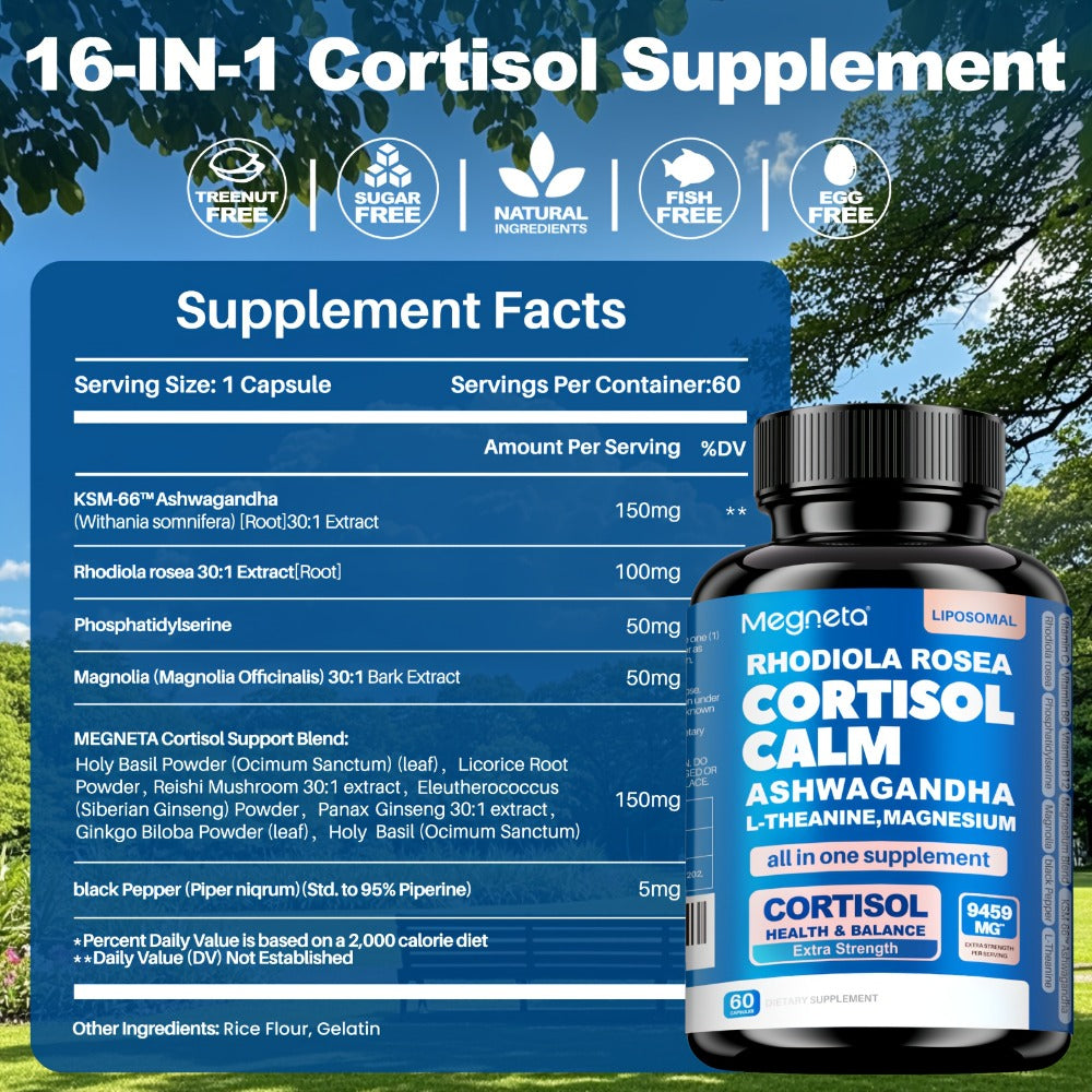 Ashwagandha Stress Relief Supplement Capsules with Rhodiola Rosea L-Theanine & Magnesium for Cortisol Balance Restful Sleep Mood Support & Burnout Recovery — 120 Capsules 4-Month Supply Women & Men