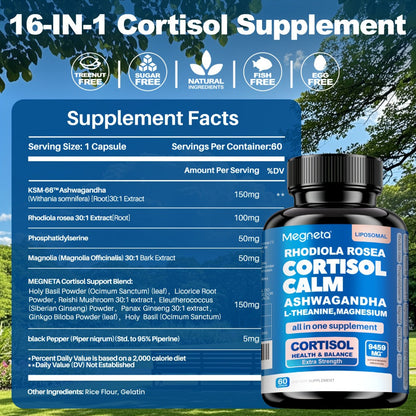 Ashwagandha Stress Relief Supplement Capsules with Rhodiola Rosea L-Theanine & Magnesium for Cortisol Balance Restful Sleep Mood Support & Burnout Recovery — 120 Capsules 4-Month Supply Women & Men
