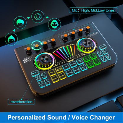Portable Karaoke System, 36V, USB, Rechargeable, Professional, Podcast for Parties detail image - detail view 10