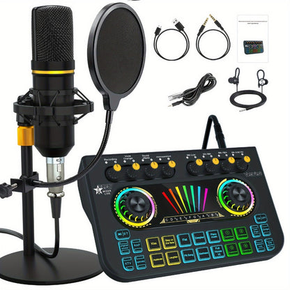 Portable Karaoke System, 36V, USB, Rechargeable, Professional, Podcast for Parties detail image - detail view 6
