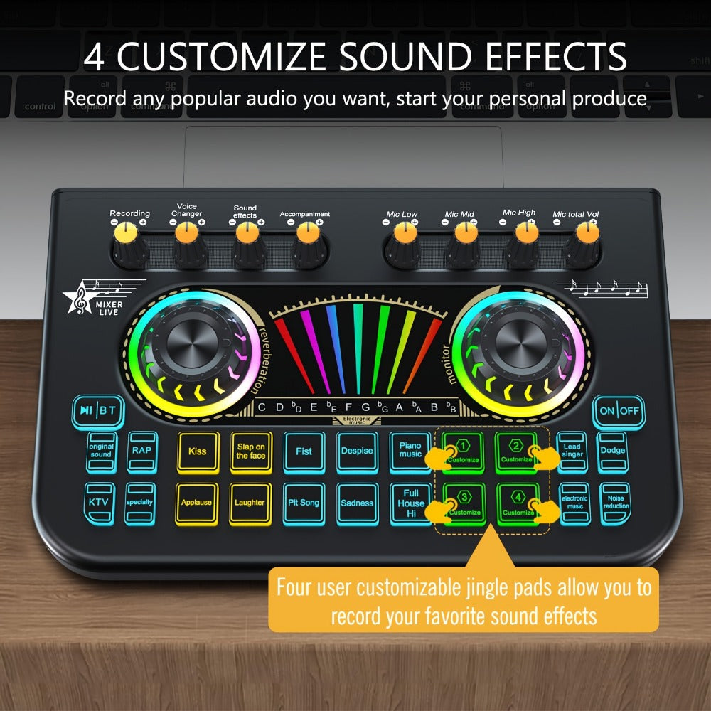 Portable Karaoke System, Condenser, Wireless, USB, Sound, Card, Professional for Parties detail image - detail view 8