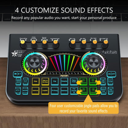 Portable Karaoke System, Condenser, Wireless, USB, Sound, Card, Professional for Parties detail image - detail view 8