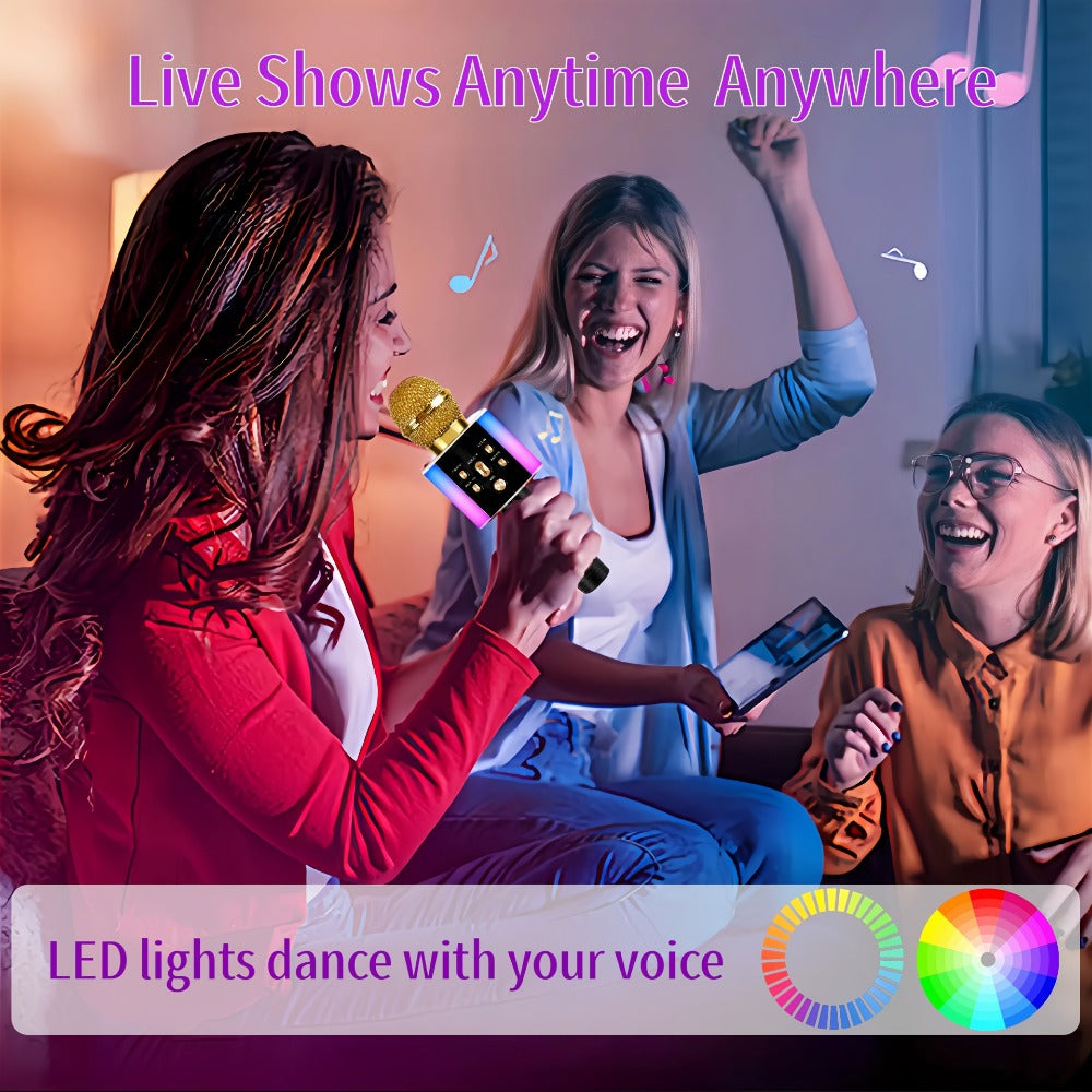 Portable Karaoke System, Rechargeable, Wireless, Limited, Time for Parties and Karaoke detail image - detail view 21