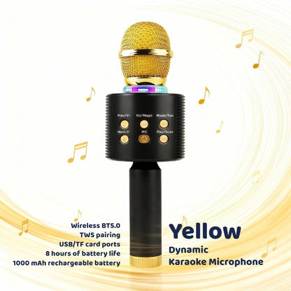 Portable Karaoke System, Rechargeable, Wireless, Limited, Time for Parties and Karaoke detail image - detail view 3