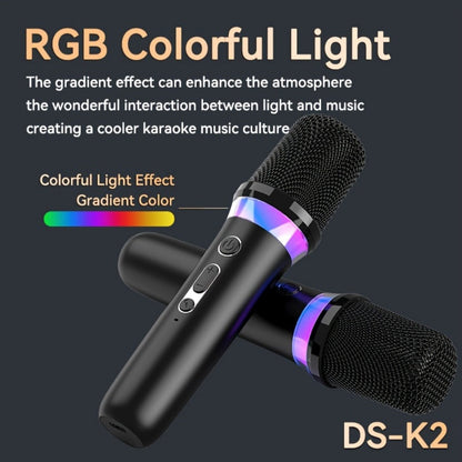 Portable Karaoke System, Stereo, RGB, Wireless, VAORLO, DS-K2, Machine for Parties detail image - detail view 10