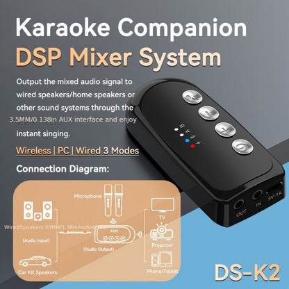 Portable Karaoke System, Stereo, RGB, Wireless, VAORLO, DS-K2, Machine for Parties detail image - detail view 11