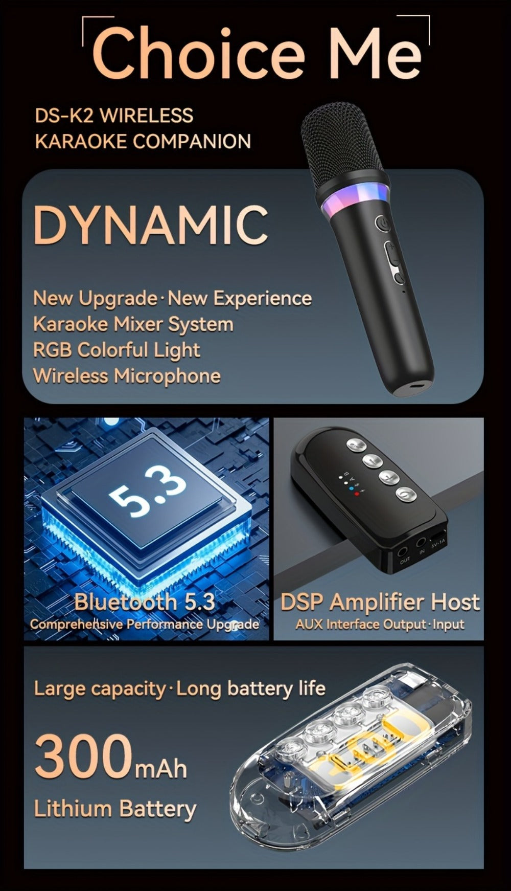 Portable Karaoke System, Stereo, RGB, Wireless, VAORLO, DS-K2, Machine for Parties detail image - detail view 13