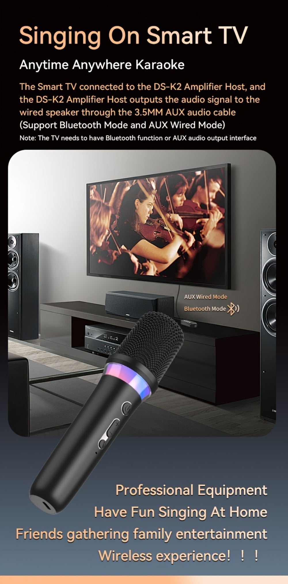 Portable Karaoke System, Stereo, RGB, Wireless, VAORLO, DS-K2, Machine for Parties detail image - detail view 16