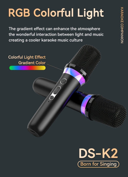 Portable Karaoke System, Stereo, RGB, Wireless, VAORLO, DS-K2, Machine for Parties detail image - detail view 21